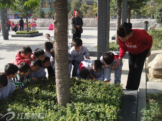 陜西韓城紅纓童之夢(mèng)幼兒園開展秋游活動(dòng)