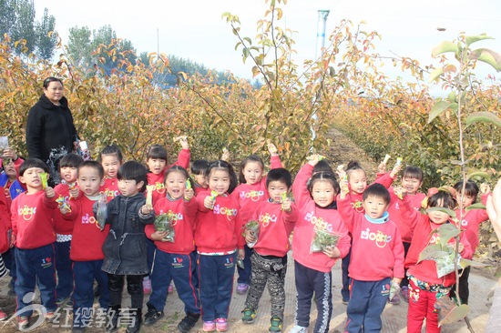 河南焦作紅纓博愛名苑幼兒園舉辦親子采摘趣味活動