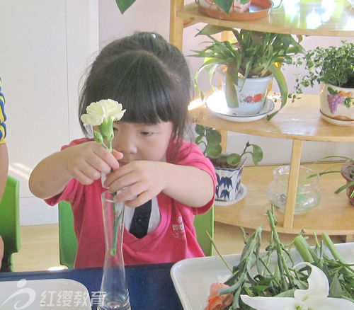 山東濰坊紅纓金都國際幼稚園